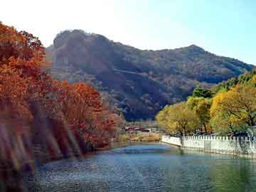 新澳天天开奖资料大全旅游团，北京古董拍卖公司